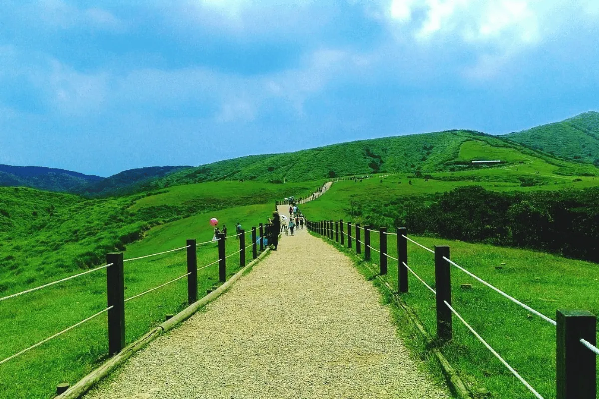 Cách di chuyển đến đồng cỏ Qingtiangang