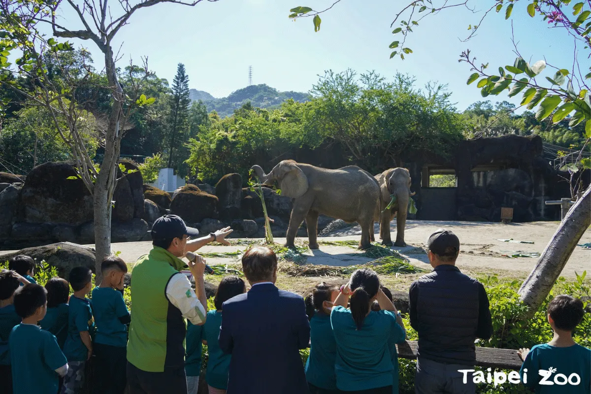 Có gì hấp dẫn tại Taipei Zoo?