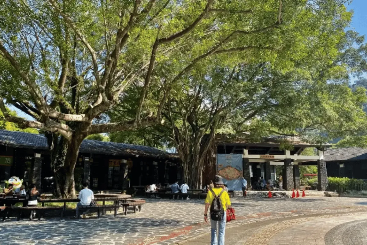 Công viên Văn hóa Bản địa Đài Loan (Taiwan Indigenous Peoples Culture Park)