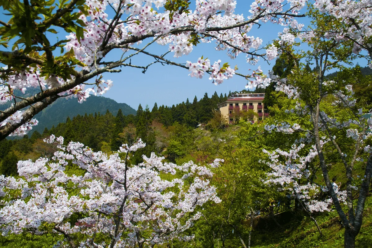 Thông tin chung về công viên Alishan